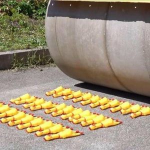 Meet your Posher, Conner